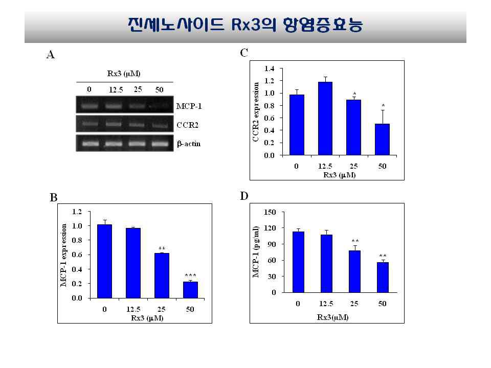 MCP-1과 CCR2 유전자 발현에 미치는 영향 분석