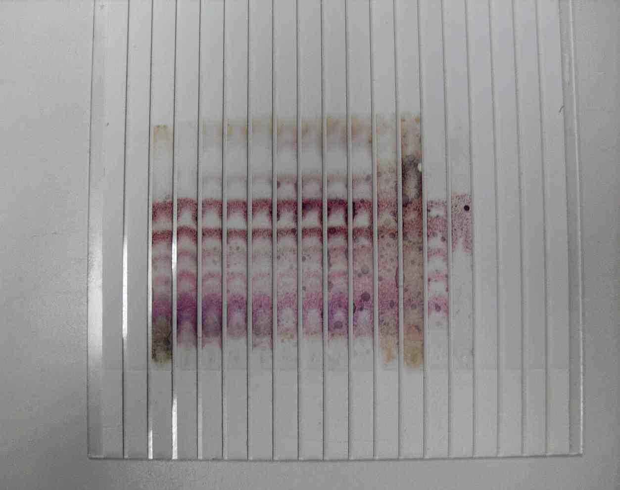 TLC chromatogram of ginsenosides in ginseng root chips of according to vacumm and deep frying.