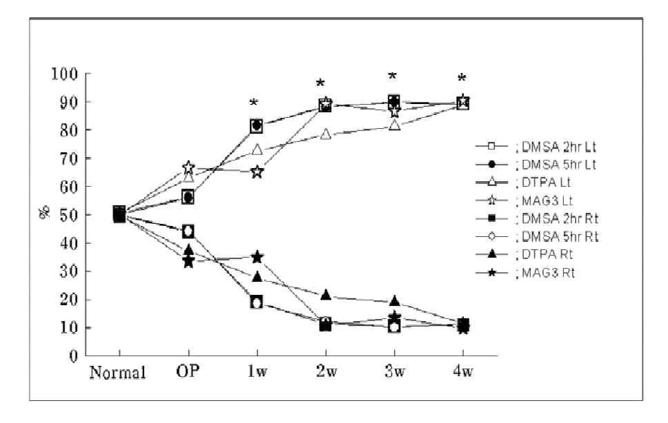 일측성 요관결찰을 실시한 동물에서 99mTc-DTPA, 99mTc-DMSA, 99mTc-MAG3 군의 비교