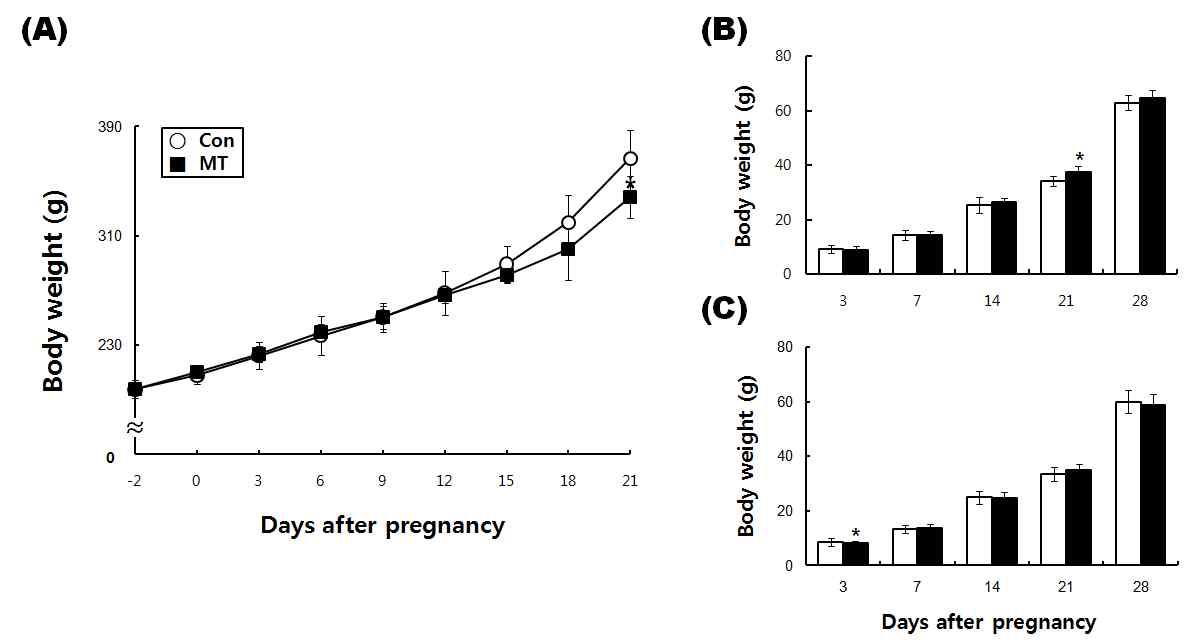 외재적 멜라토닌의 주입에 따른 모체(A) 및 태아 (B:수컷, C:암컷)의 체중 변화