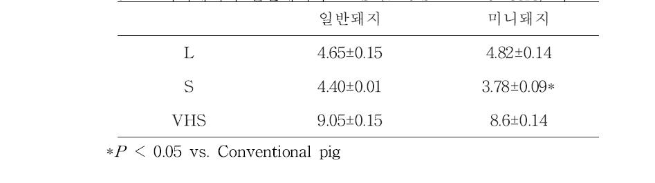 미니돼지와 일반돼지의 VHS (vertebral heart score) 비교