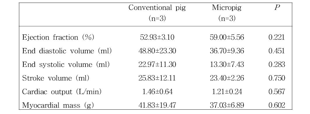 MDCT 측정을 통해 얻어진 일반돼지와 미니돼지의 수치 비교
