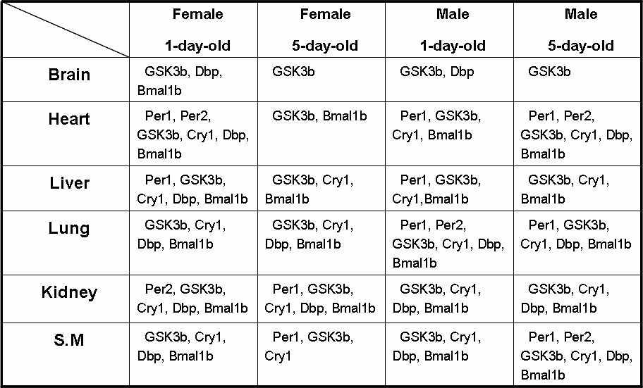 각 장기에 따른 1일령과 5일령 암컷 미니돼지의 생체시계 유전자 발현