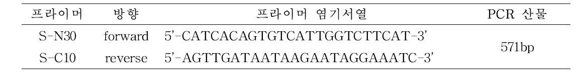 RSV 보독충과 감염을 판별하기 위한 RSV 특이 RT-PCR 프라이머 세트