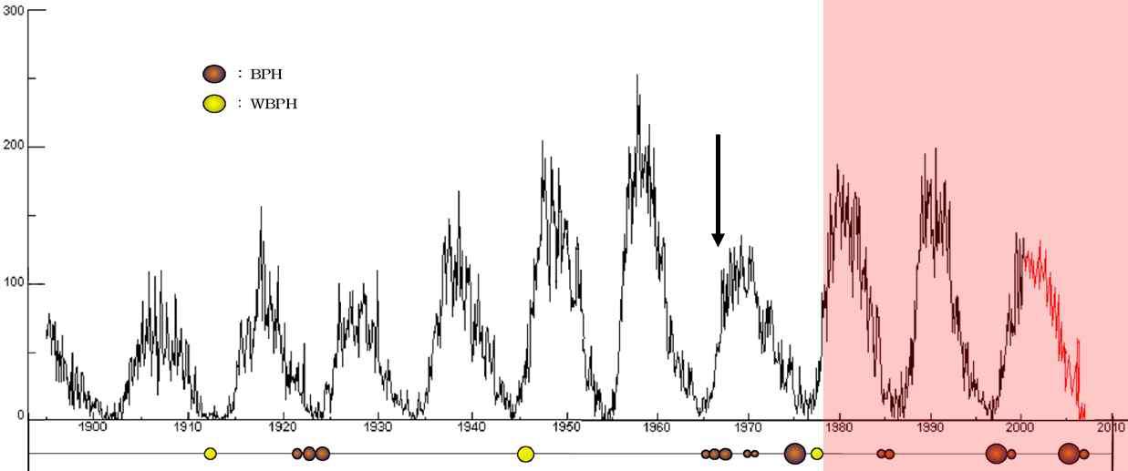 태양흑점의 활동주기와 이동성 벼멸구, 흰등멸구 발생정도.