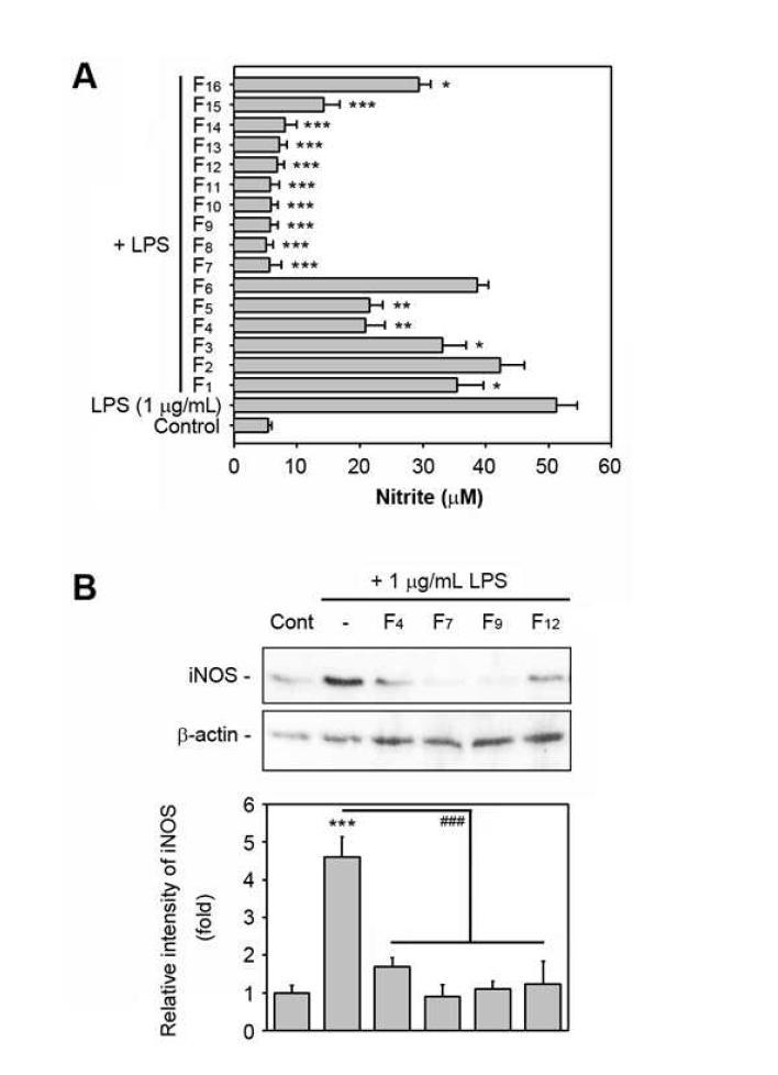 청보리 Chloroform 추출물로부터 확보된 분획물의 LPS 유도성 NO 생성 및 iNOS 단백질