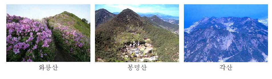 사천시 산림자원