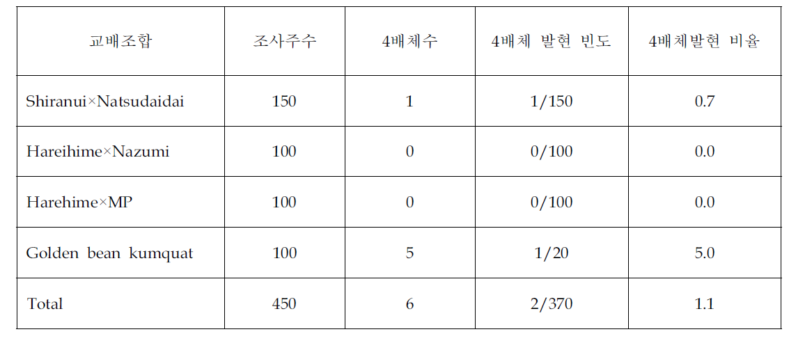 주심배 및 교잡실생 유래감귤의 4배체 탐색 결과