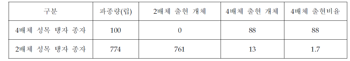 4배체 탱자 성목에서 채취한 종자의 배수성