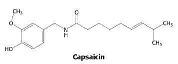 Capsaicin 구조