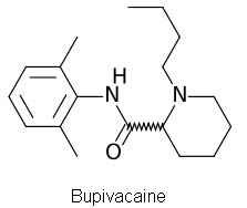 Bupivacaine 구조