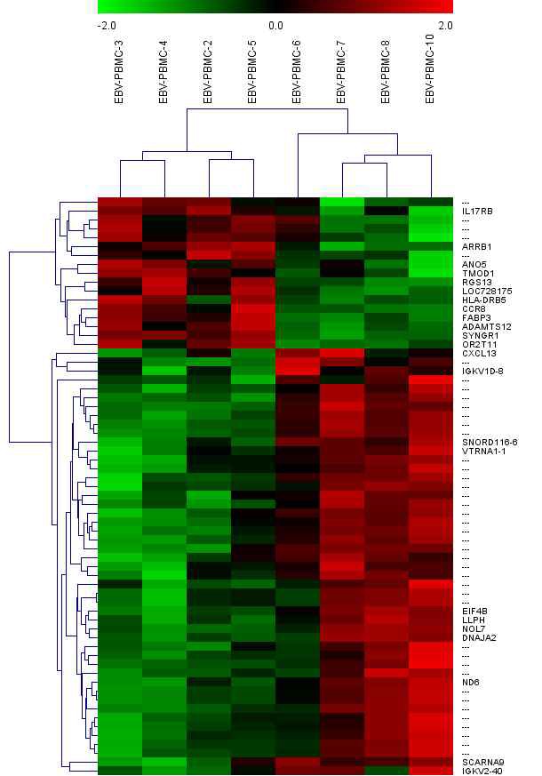 그림 1. Heatmap (mRNA)