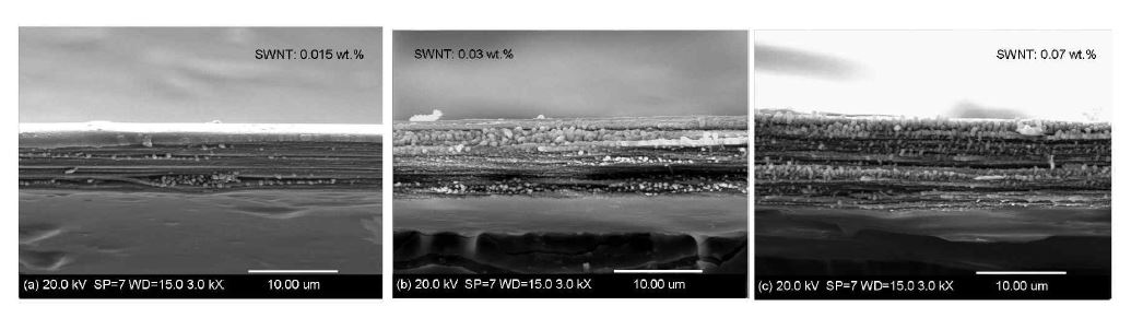 그림1. 농도가 서로 다른 SWNT에 공유결합된 셀룰로오스의 단면에 이미지