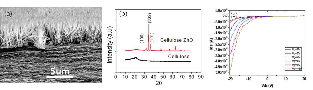 그림6. ZnO의 단면 SEM(a)과 XRD(b), I-V특성평가(c) 결과