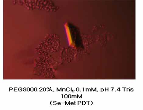 그림 10. PDT의 고분해능 Selenomethionine 결정 사진