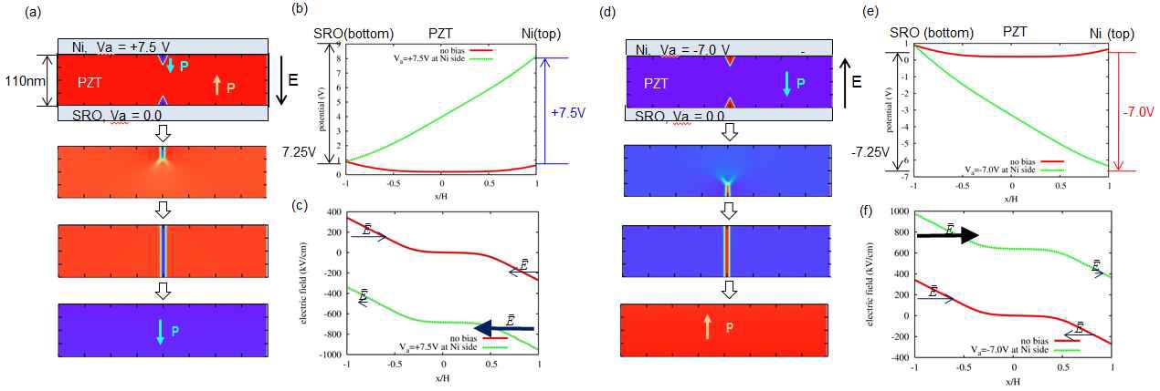 그림 7. Ni 상부 전극에 (a)+7.5 V 및 (d)-7.0 V가 인가되었을 때 스위칭된 도메인의 핵생성 및 성장. (b,e) 균일한 외부 전기장 하에서의 local electric potential 분포 및 (c,f) 이 때의 내부 전기장 양상