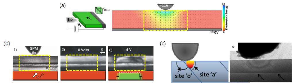 그림 1. 2011년도에 발표된 in-situ biasing 실험을 통한 분극 스위칭 거동에 관한 연구들