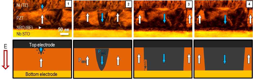 그림 3. MFM 캐패시터 구조를 가지는 PZT 박막에서 외부 전기장에 의한 180°분극 스위칭 메커니즘