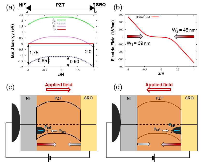 그림 4. (a) Ni/PZT/SRO contact system에서 계산된 에너지 밴드 구조 및 (b)내부 전기장