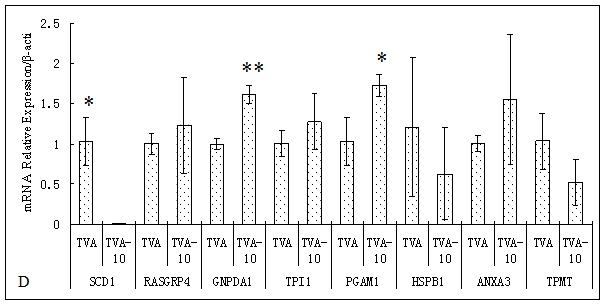 Figure 14. Verification of candidate proteins in SCD1 inhibited MAC-T cell