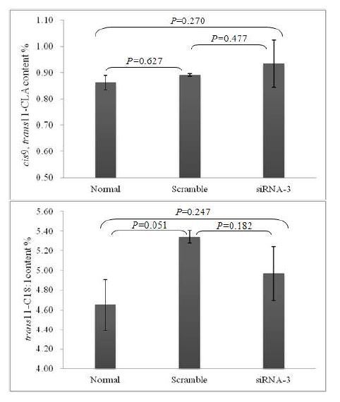 Figure 15. Absorption of trans-11 C18:1 and synthesis of cis-9, trans-11 CLA after PGAM1 knockdown(siRNA-3) in MAC-T cell