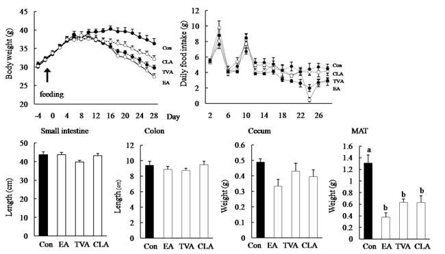 Figure 19. Changes in body weight and parameters of organs