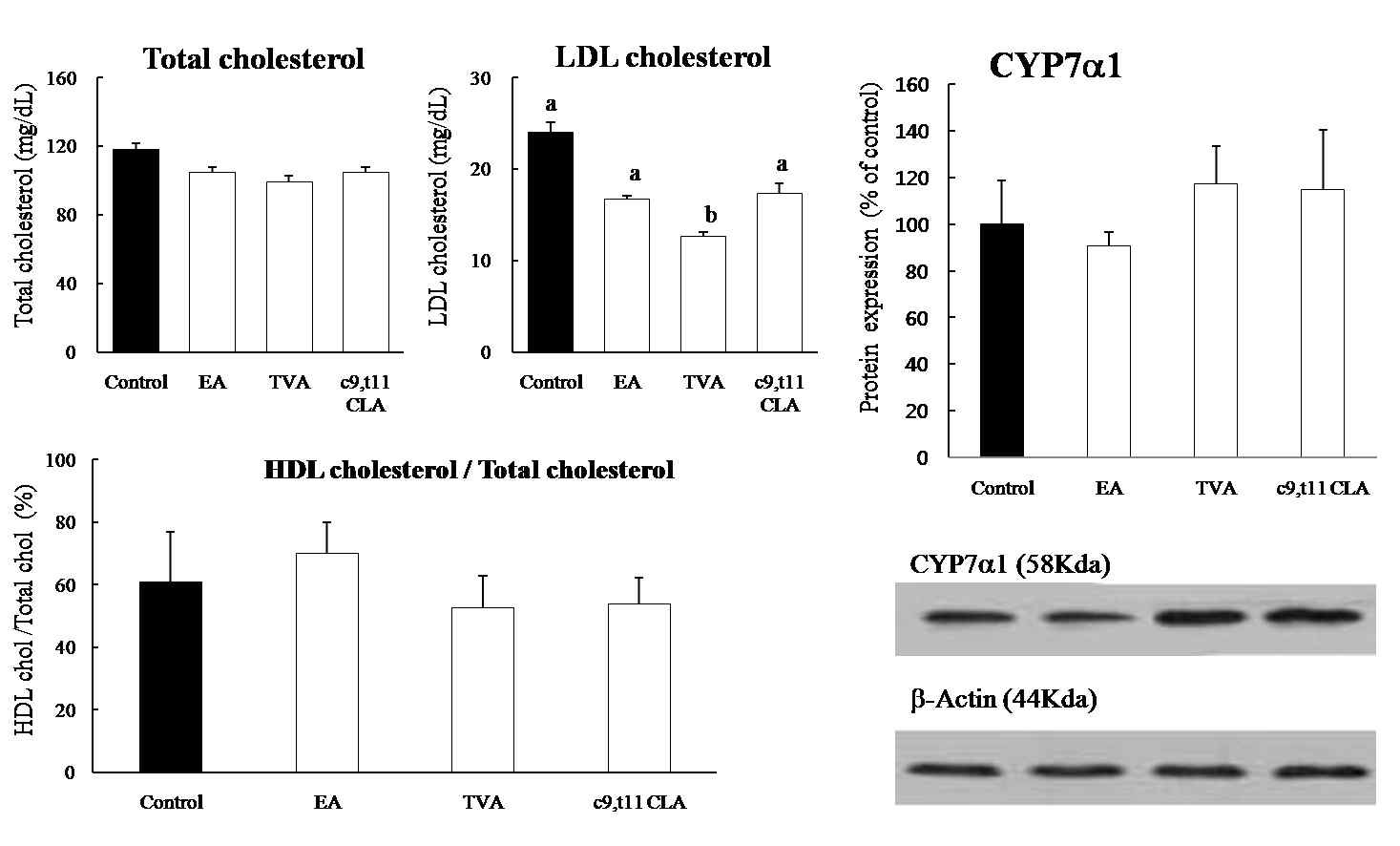 Figure 20. Cholesterol levels un circulation and CYP7a1