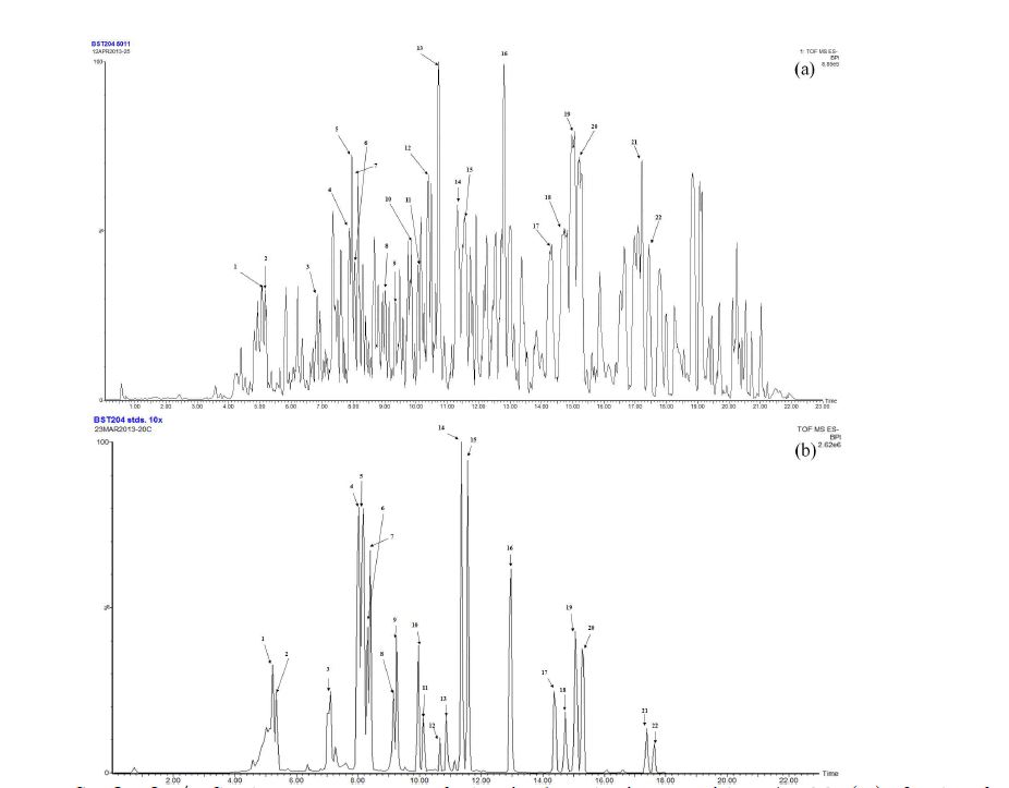 Fig. 1. The UPLC-QTOF/MS chromatograms of the isolated ginsenosides 1-22