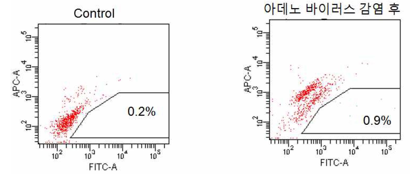 그림6. 유세포 분석을 통해 관찰한 GFP양성 세포의 수