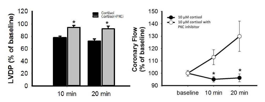 단백질키나제C 억제가 코티솔에 의한 좌심실 구현압력 및 관상혈관 관류량 저하 효과를 회복시키는 결과
