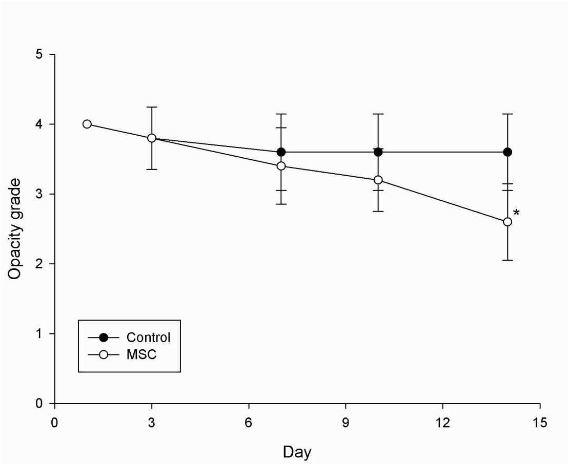 Fig 1. Comparison of cornea opacity in Control and MSC groups on day 1, 3, 7, 10 and 14. The mean value in MSC group was significantly lower than Control group on day 14