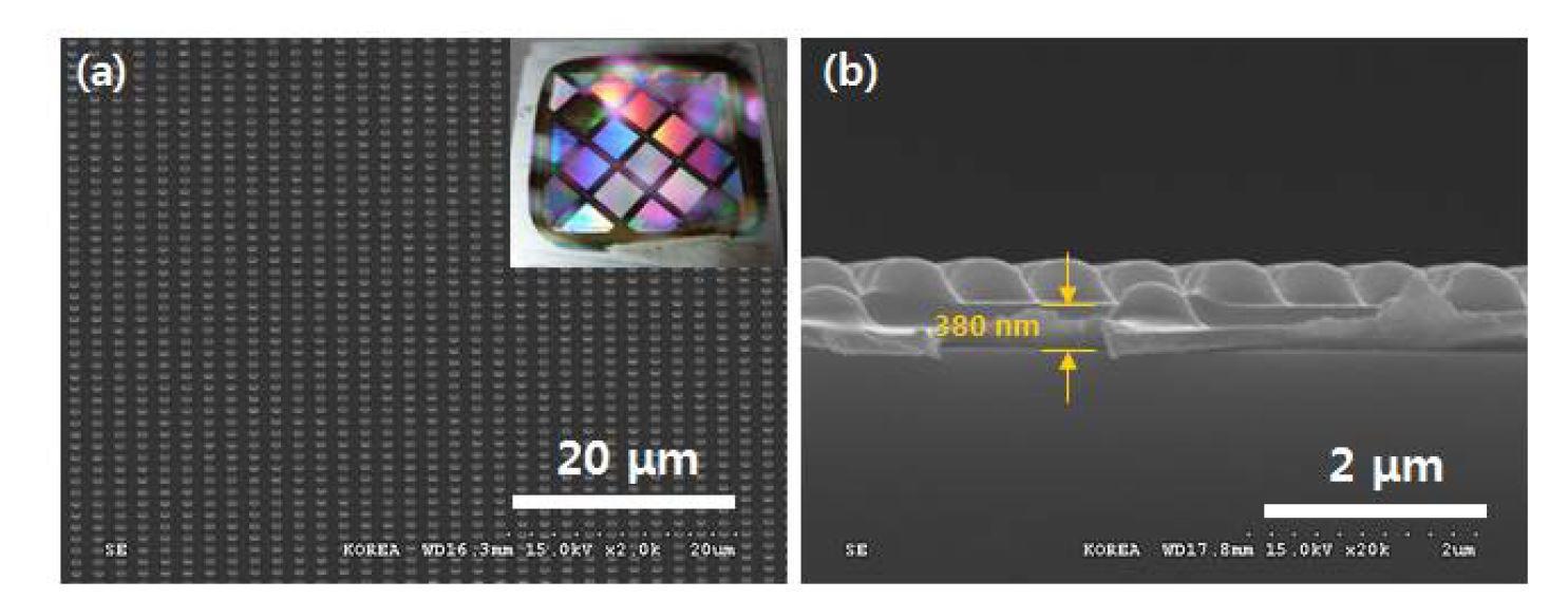 Poly imide를 이용한 임프린트 결과 (a) 넓은 면적에 고르게 형성된 poly imide 패턴의 SEM 및 디지털 이미지 (b) poly imide 패턴의 측면 사진