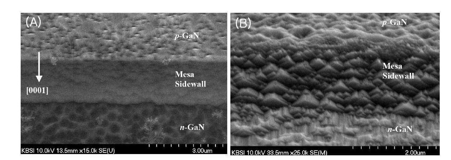 KOH 용액을 이용하여 습식식각한 GaN 기판의 SEM image