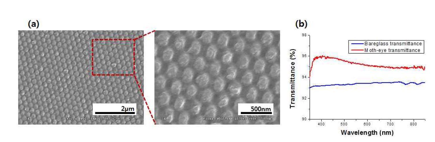 (a) PDMS 물질을 이용하여 형성된 반사방지 패턴의 SEM 사진(b) 일반적인 유리 기판과 반사방지 패턴이 형성된 유리 기판의 투과도