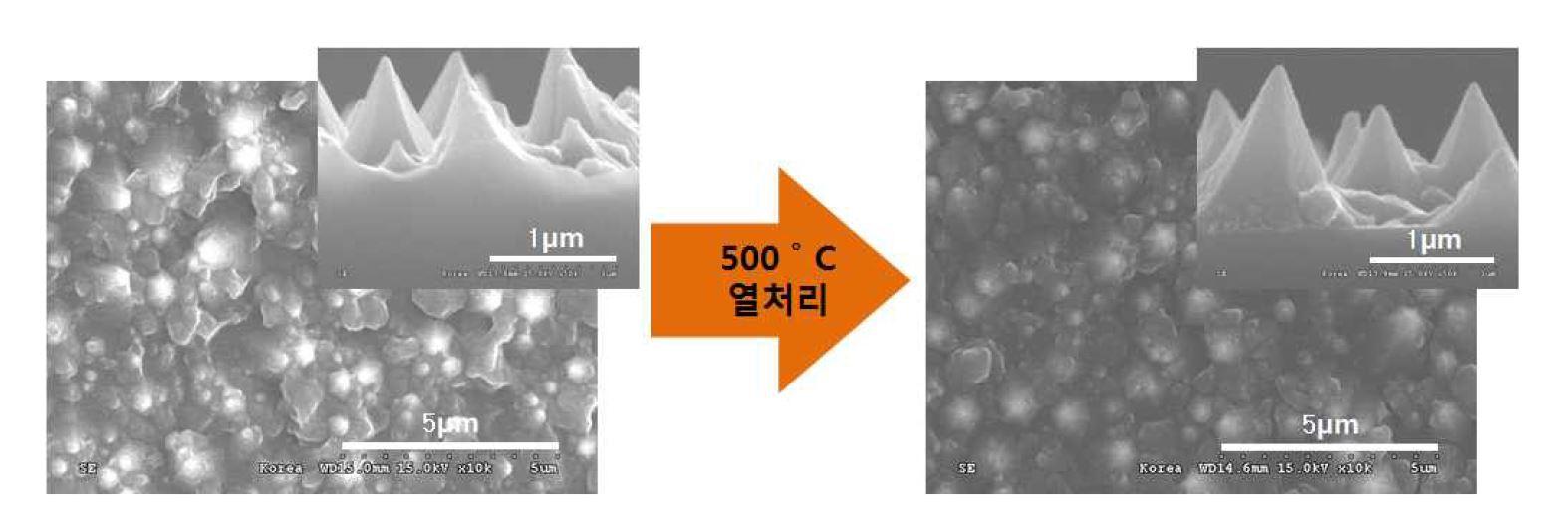 광확산 패턴을 형성한 HSQ의 500 ℃ 열처리 전 / 후 SEM 사진