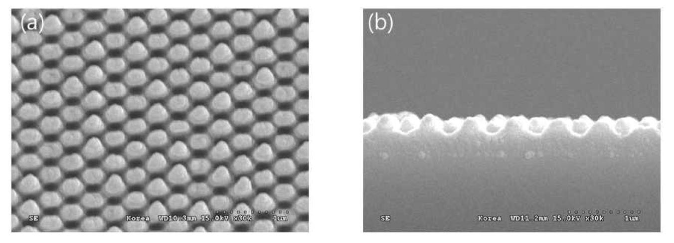 비정질 실리콘 태양전지에 적용된 Moth-eye 패턴의 SEM imge