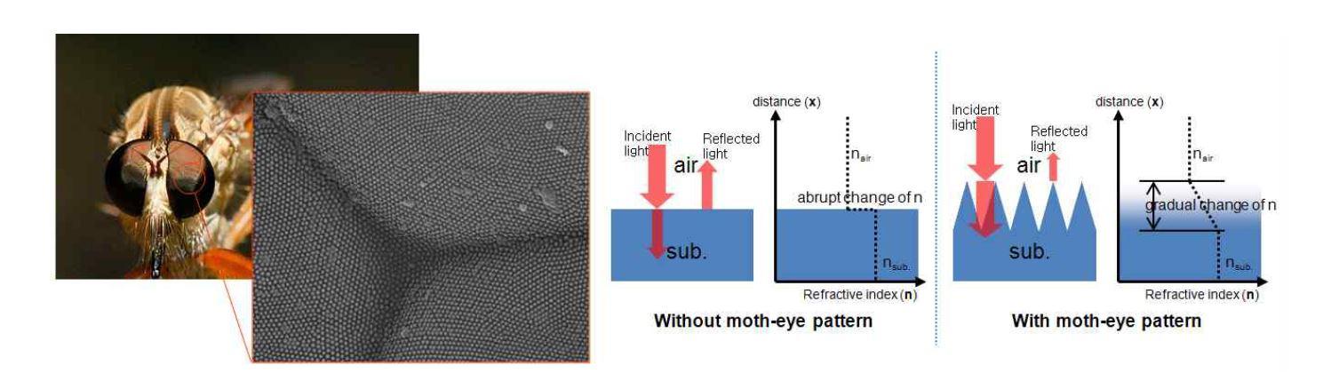 나방 눈 (moth-eye pattern)의 표면 구조 (좌) Moth-eye pattern의 반사방지 원리 (우)