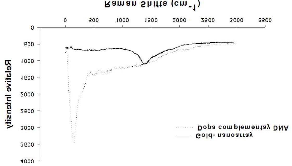 그림20. 금 나노 기판에 상보적 DNA의 라만 피크
