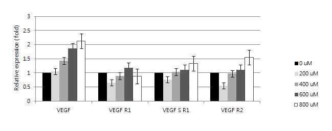 H2O2 처리 농도에 따른 VEGF, VEGF-R1, VEGF S R1, VEGF-R2 의 Real-time PCR 결과