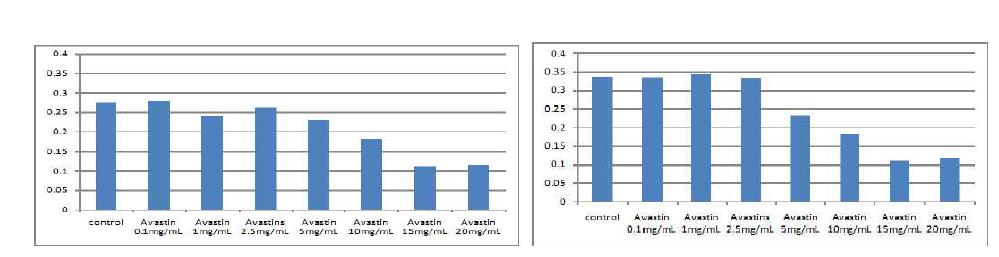 Avastin 의 처리가 망막 뮬러 세포에 미치는 영향. 좌) 24시간 처리 후, (우) 48시간 처리 후