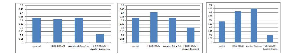 Avastin 의 처리가 산화스트레스 하의 망막 뮬러 세포에 미치는 영향. (좌) 24시간 후, (중) 48시간 후, (우) 72시간 후 (CCK assay).