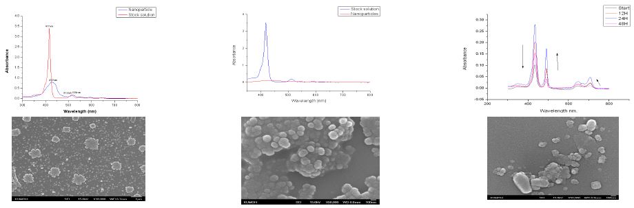 포피린 나노입자의 UV-vis 스펙트럼과 SEM 이미지