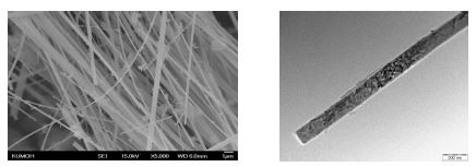 Sn-포피린/TiO2 nanofibers의 SEM과 TEM 이미지
