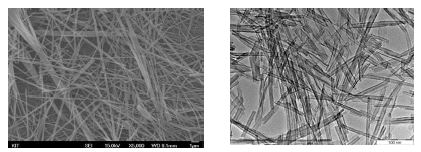 Sn-포피린/TiO2 nanotubes의 SEM과 TEM 이미지