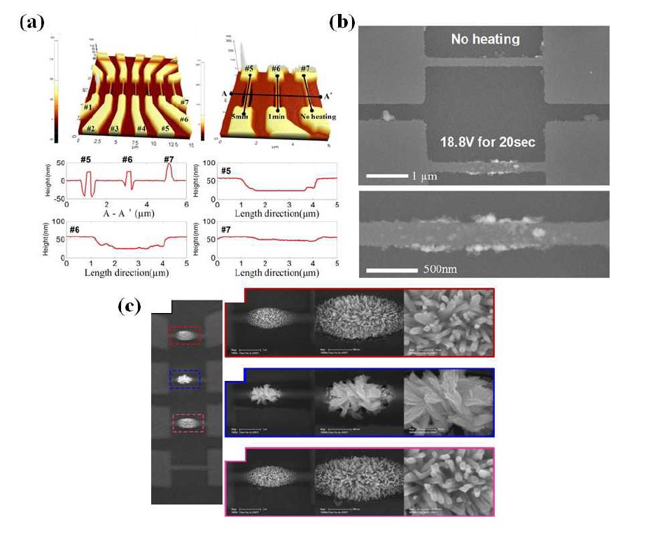 그림 3. (a) 나노와이어의 선택적 가열에 의한 PMMA 측의 선택적인 열분해 결과의 AFM image, (b) 용액 안에서 실리콘 나노와이어를 교류전압 (AC)으로 줄가열하여 선택적으로 팔라듐 나노입자를 열수합성 (hydrothermal synthesis)한 결과 (c) 나노와이어 배열에서 각각의 나노와이어를 다른 용액에서 줄 가열하여 다종 나노 구조물 배열을 합성함