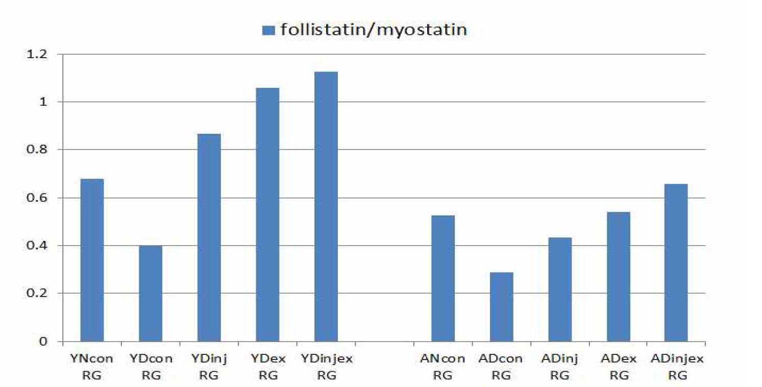 그림 13. Follistatin/Myostatin ratio 의 비교