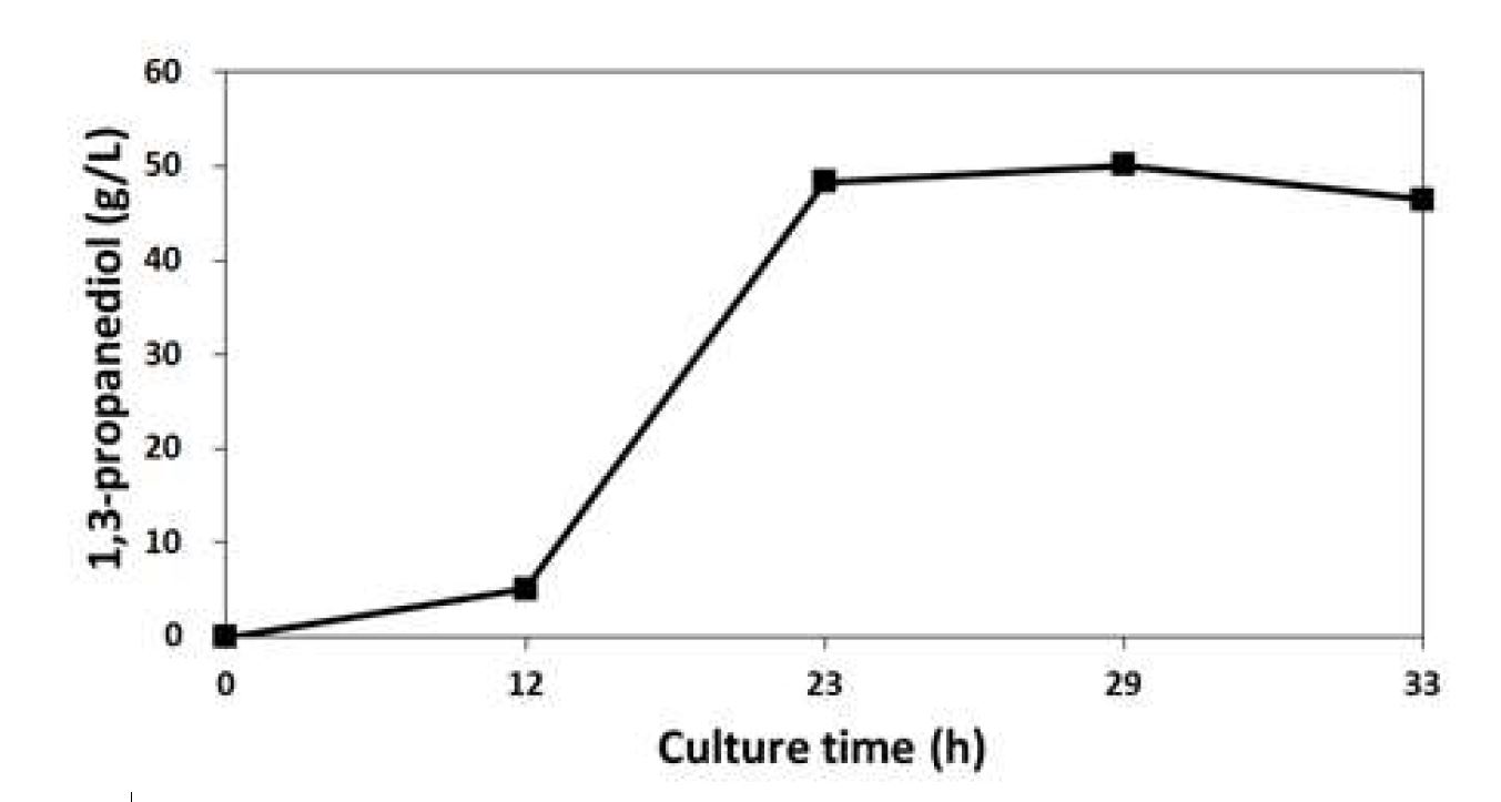 Fig. 12. Flask culture for 1,3-propanediol production under an optimized condition