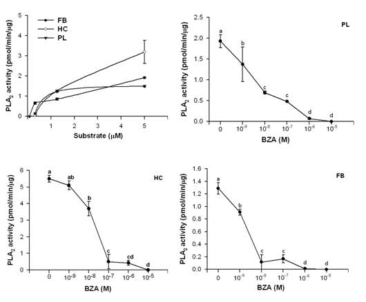 Fig. 1. Enzyme kinetic properties of different PLA2s extracted from hemocyte (HC), plasma (PL), and fat body (FB) of the fifth instar Spodoptera exigua