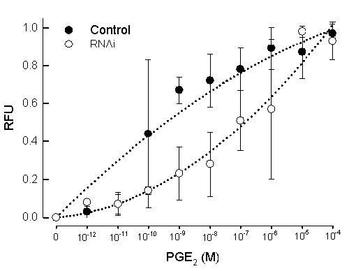 Fig. 5. Effect of RNA interference (RNAi) of Se-hcPGGPCR1 on intracellular calcium mobilization inresponse to prostaglandin E2 (PGE2). First day fifth instar larvae were injected with specific dsRNA(100 μg/larva) and incubated for 72 h before cells were assayed using Fluo-4 DirectTM calciumassay kit. Larvae were treated with dexamethasone (DEX, 100 μg/larva) at 30 min before collectionof hemolymph in ACB and hemocytes were resuspended with calcium assay buffer. Hemocytesuspension was mixed with fluo-4 direct calcium reagent loading solution. After 30 min, PGE2 wasadded on reaction mixture and incubated for 40 min and used for measuring fluorescence with aspectrofluorometer (Softmax Pro Software version 5.0, Molecular Devices Corporation, Sunnyvale,CA, USA). Measured fluorescence values are normalized and expressed in relative fluorescent unit(RFU). Each treatment was independently replicated three times