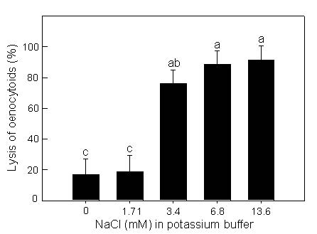 Fig. 1. Role of sodium chloride in oenocytoid cell lysis to release phenoloxidase for its activation in Spodoptera exigua. Hemocytes from the fifth instar larvae was resuspended in potassium buffer and treated with different doses of sodium chloride for 20 min at 25°C. Each treatment was replicated three times. Different letters above standard deviation bars indicate significant difference among means at Type I error=0.05 (LSD test).